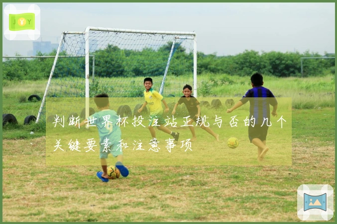 判断世界杯投注站正规与否的几个关键要素和注意事项